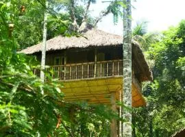 Kalidasa Tree House and Villa, Wayanad