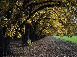 חווה של דני