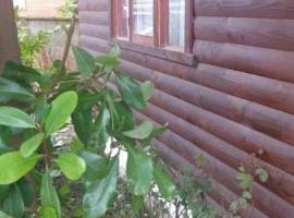 Cabañas Patricia Licanray, hotel em Licán Ray