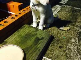 Geoje Ton Ton Guesthouse