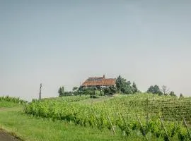 Taverna & Wine Jeruzalem