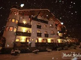 Hotel Stalon Alpine Chic