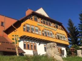 Hotel Zum Schneekopf "Garni", casa de hóspedes em Gehlberg