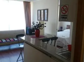 Departamento Viña del Mar Viana