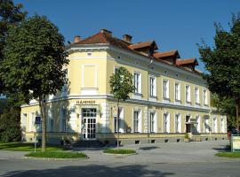 Hotel Hammer, отель в городе Вайц