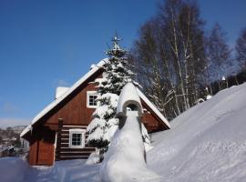 Apartmán Na Zlatníku、Zlatá Olešniceのホテル