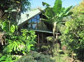 Chalet Villa Vilma