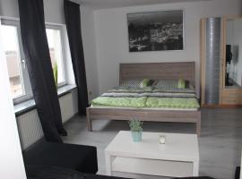 Gut gelegenes Appartment mit Wifi, Parkplatz, Wama, Trockner usw., hotel in Kaiserslautern