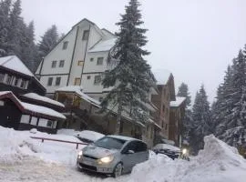 Apartment Lazic vila Suri