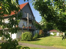 Ferienwohnung Kalin, cheap hotel in Neualbenreuth