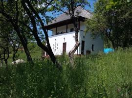 Cottage Poe, ξενοδοχείο σε Poienari
