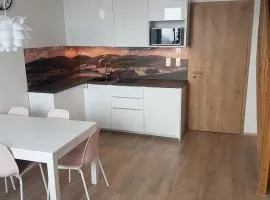 Apartmány Dolní Morava