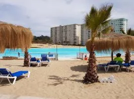 Laguna Bahía, Algarrobo