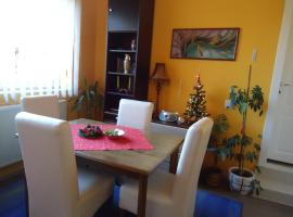 Apartments Villa Svetlana, homestay in Vrnjačka Banja