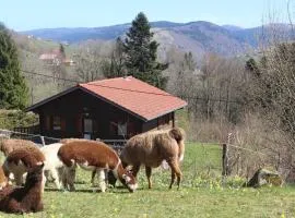 Chalet Les Bouleaux, la montagne des lamas