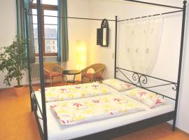 Steffis Hostel Heidelberg, отель в Гейдельберге