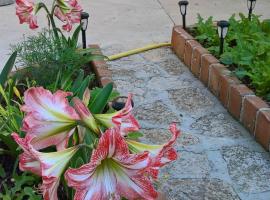 Apartmani Rukonić Aleksandar, quarto em acomodação popular em Nerezine