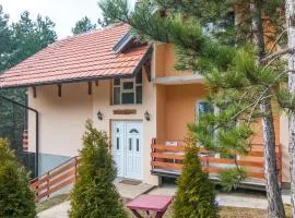 Mountain House Tara Apartmani Nikolic