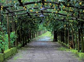 Agriturismo Il Convento, farm stay in Massa Lubrense