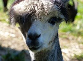 Le Paradis des Animaux, hotel with parking in Coublevie