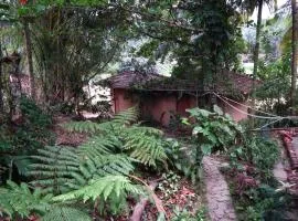 Deniyaya National backpackers hostel