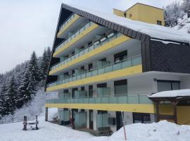 Mountain apartment Innerkrems，因涅科里姆斯的飯店