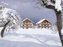 appartementen Haus Bergblick, hotel v blízkosti zaujímavosti Hornspitz Express I (Gosau)