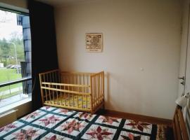 Apartment in Druskininkai Lithuania, alojamiento con onsen en Druskininkai