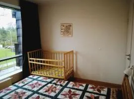 Apartment in Druskininkai Lithuania