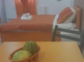 Pensiune Spital Fundeni