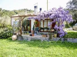 Casa Violet - Goelba