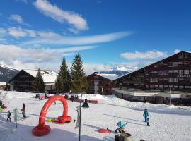 Holidays Groupes Anzère, hostel em Anzère