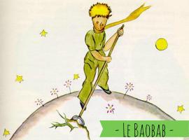 Le Baobab