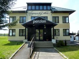 Penzion Švýcarský dům – pensjonat w mieście Tisá