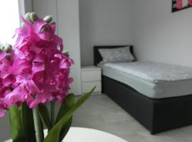 Zimmer Enzjan, ξενοδοχείο σε Vaihingen an der Enz