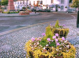 The Castle Inn, hotel in Usk