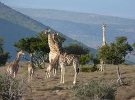 Koedoeskop Private Mountain Reserve