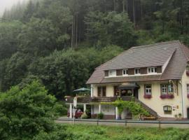 BE ME Black Forest Family Apartment -Zum Letzten G'Stehr, hotel in Bad Rippoldsau