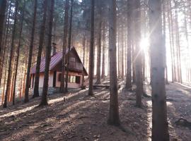 Chata Adavy, chalet de montaña en Liptovský Ján