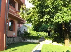 Affittacamere Il Colle