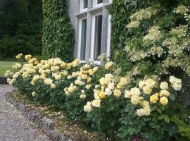 Courtyard Cottage, hotel en Carlow