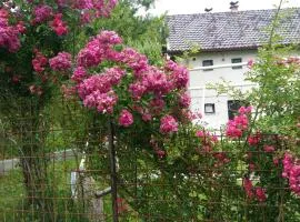 Vikend kuća Careva Ćuprija-apartman