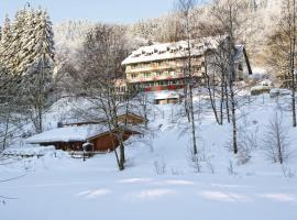 Waldhaus am See, hotel in Willingen