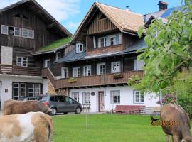 Landl Vorberg, holiday home in Ramsau am Dachstein
