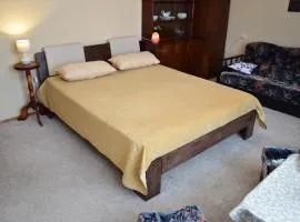 Čiurlionio 83 Druskininkai