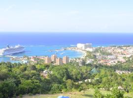 Pink Rock Inn Bed and Breakfast, levný hotel v destinaci Ocho Rios