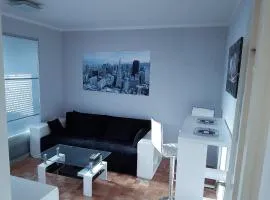 Apartment Arena Silver