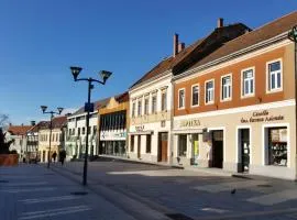 Sarolt Apartman