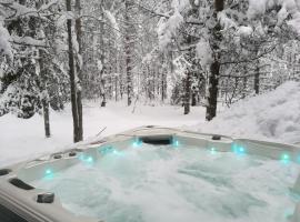 Syöte Cottage, hotel with hot tubs in Syöte