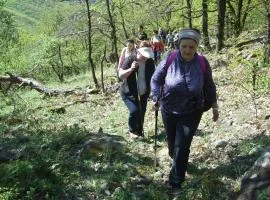 Hollókői Vendégház
